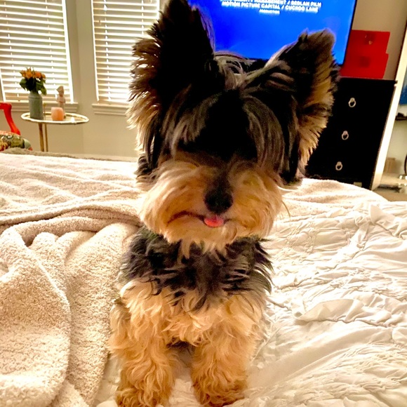 Meet your Posher, Melissa - Picture 2 of 11